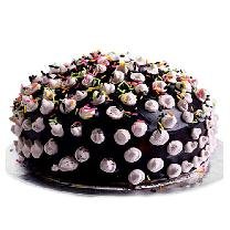 Colorful Chocolate Cake