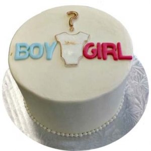 Boy Or Girl Cake