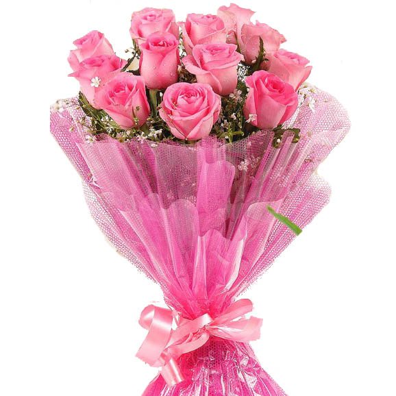 surprise-pink-roses