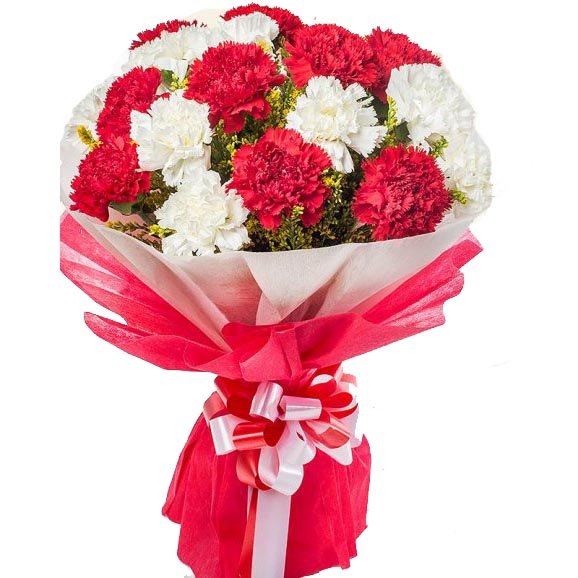 sparkling-carnations