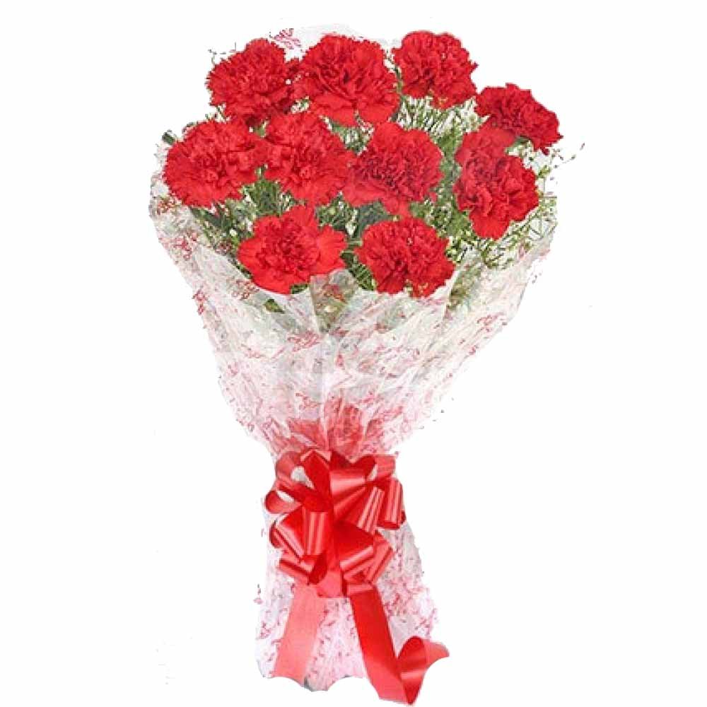 red-carnations-desire